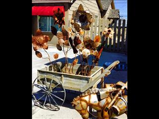 Flower cart, gotta love this shot. We always have some great flowers and often times small carts. Ch(..)